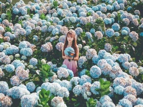 5 Days Nha Trang And Dalat Tour From Bangkok